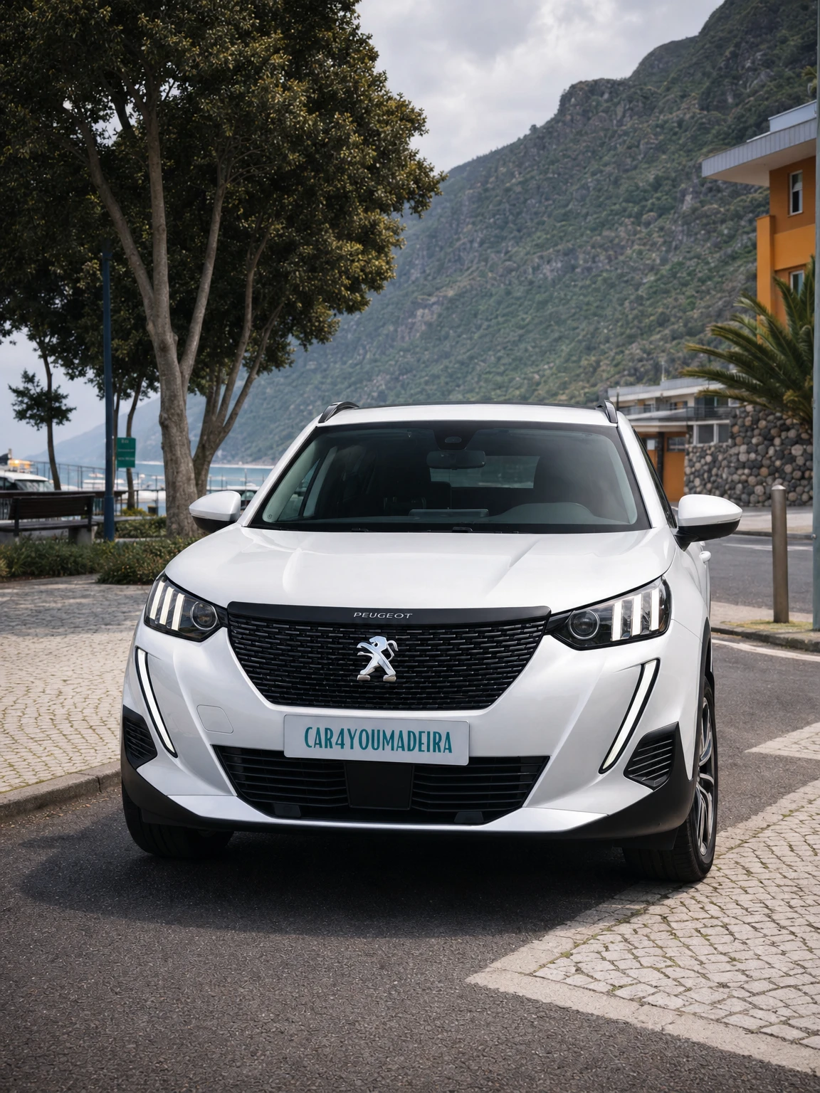 Madeira car rental